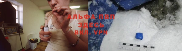 гидра Алексин