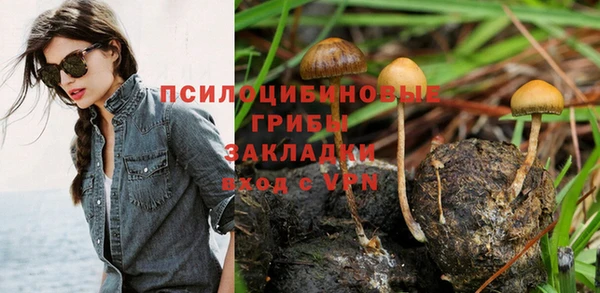 MESCALINE Абаза